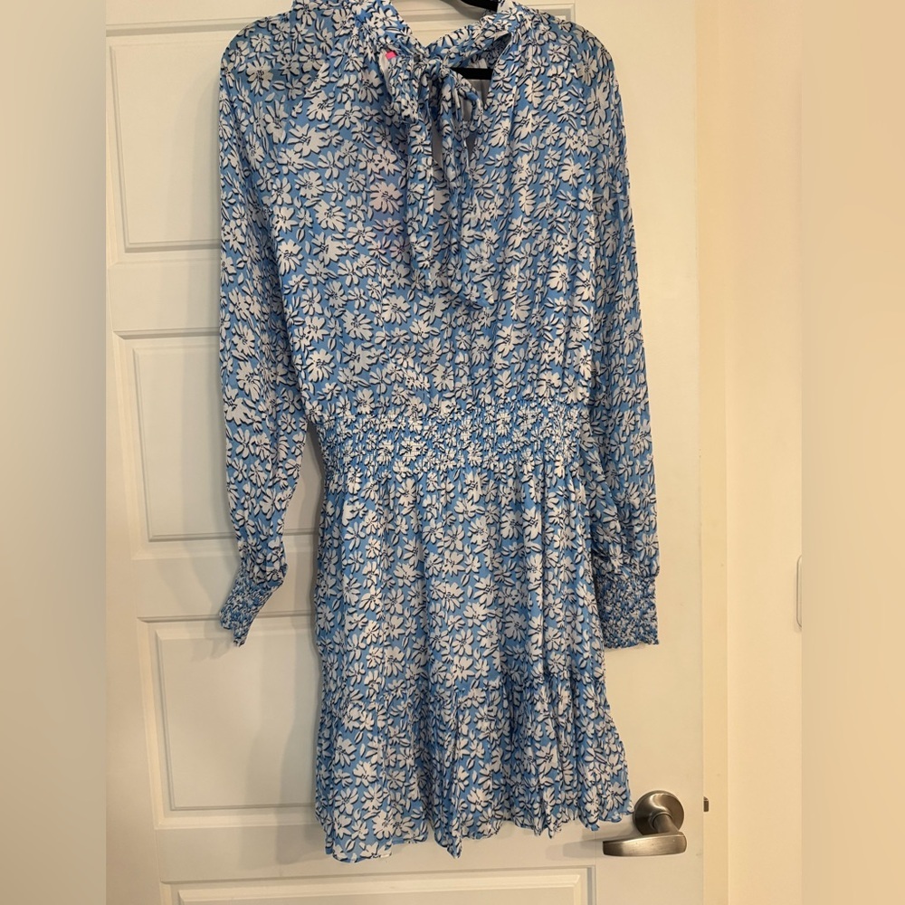 Lilly Pulitzer Dress - Picture 4 of 4
